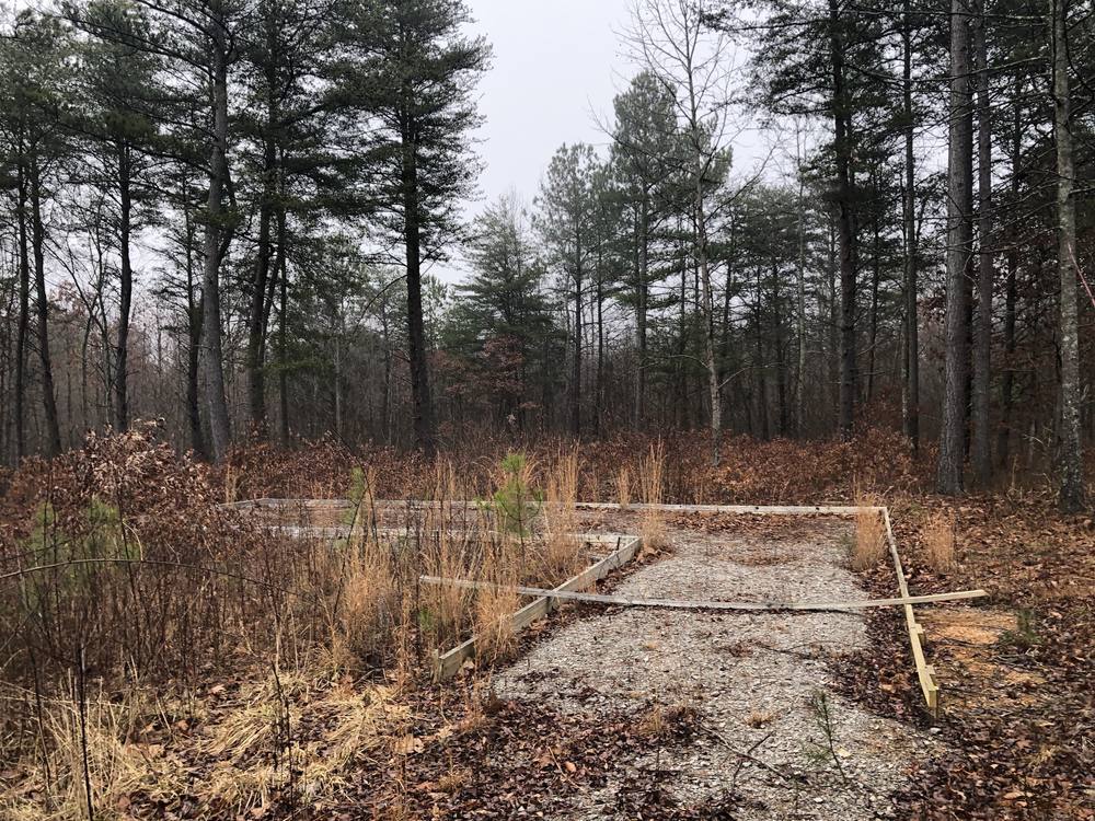 Hearth Home building site in Monteagle forest
